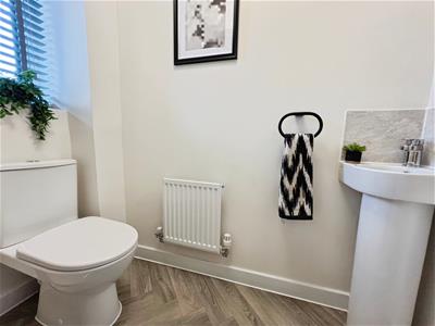 Picture 8